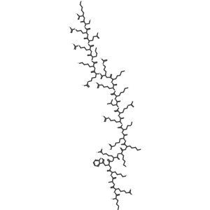 HG12 Protein Structure