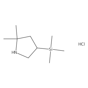 2,2-Dimethyl-4-(trimethylsilyl)pyrrolidine hydrochloride Structure