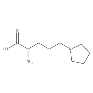 2-Amino-5-(pyrrolidin-1-yl)pentanoic acid Structure