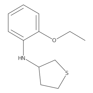 N-(2-ethoxyphenyl)thiolan-3-amine结构式