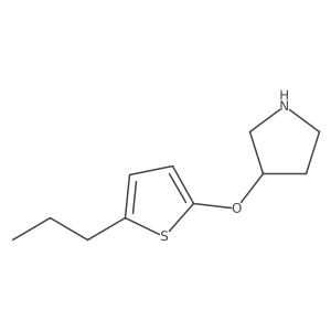 3-[(5-Propylthiophen-2-yl)oxy]pyrrolidine结构式