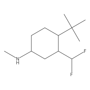 4-tert-butyl-3-(difluoromethyl)-N-methylcyclohexan-1-amine结构式