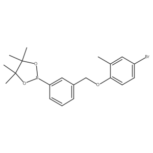 2246589-79-5 structure