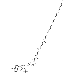 hexacosanoyl-CoA结构式