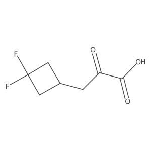 3-(3,3-Difluorocyclobutyl)-2-oxopropanoic acid Structure