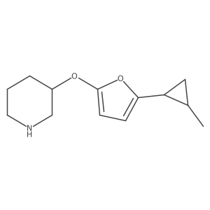 3-{[5-(2-Methylcyclopropyl)furan-2-yl]oxy}piperidine Structure