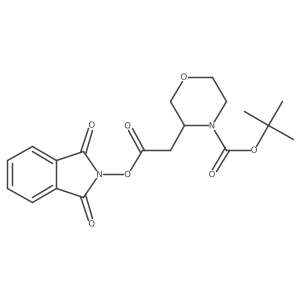 tert-butyl 3-{2-[(1,3-dioxo-2,3-dihydro-1H-isoindol-2-yl)oxy]-2-oxoethyl}morpholine-4-carboxylate结构式