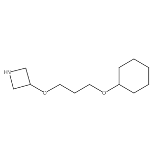 3-[3-(Cyclohexyloxy)propoxy]azetidine Structure