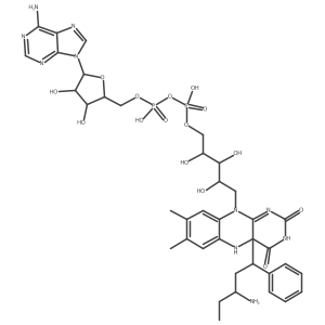 123127-07-1 structure