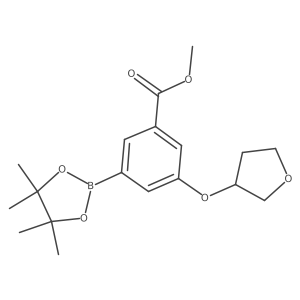 Methyl 3-[(3R)-tetrahydrofuran-3-yl]oxy-5-(4,4,5,5-tetramethyl1,3,2-dioxaborolan-2-yl)benzoate结构式