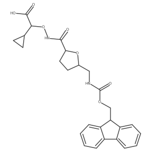 2172479-27-3 structure