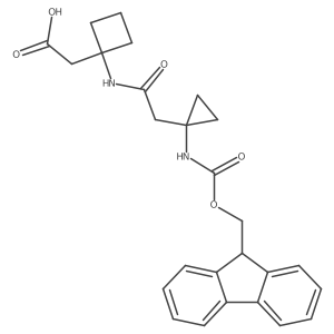 2172240-42-3 structure