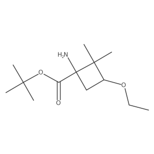 rac-tert-butyl (1R,3S)-1-amino-3-ethoxy-2,2-dimethylcyclobutane-1-carboxylate Structure