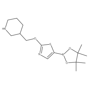 Piperidine, 3-[[[5-(4,4,5,5-tetramethyl-1,3,2-dioxaborolan-2-yl)-2-thiazolyl]oxy]methyl]- Structure