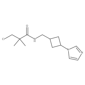 3-chloro-N-{[3-(1H-imidazol-1-yl)cyclobutyl]methyl}-2,2-dimethylpropanamide Structure