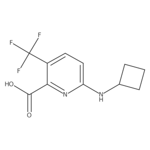 6-(Cyclobutylamino)-3-(trifluoromethyl)pyridine-2-carboxylic acid Structure