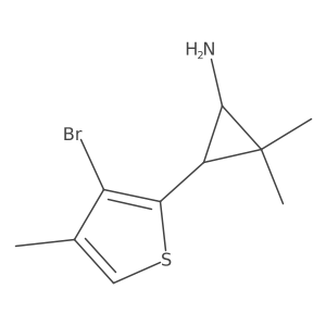rac-(1R,3S)-3-(3-bromo-4-methylthiophen-2-yl)-2,2-dimethylcyclopropan-1-amine结构式