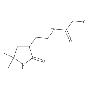 2-chloro-N-[2-(5,5-dimethyl-2-oxopyrrolidin-3-yl)ethyl]acetamide结构式