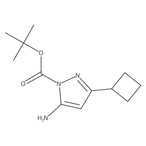 tertbutyl-5-amino-3-cyclobutyl-1H-pyrazole-1-carboxylate Structure