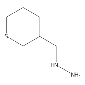 [(Thian-3-yl)methyl]hydrazine结构式