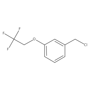 1-(Chloromethyl)-3-(2,2,2-trifluoroethoxy)benzene结构式