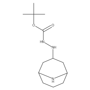 N'-{9-azabicyclo[3.3.1]nonan-3-yl}(tert-butoxy)carbohydrazide结构式