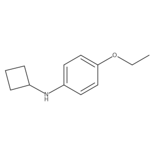 N-cyclobutyl-4-ethoxyaniline Structure