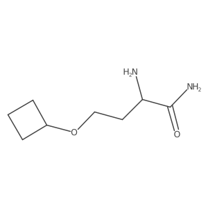 2-Amino-4-cyclobutoxybutanamide Structure
