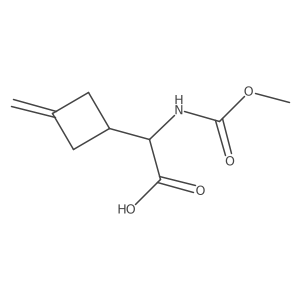 2-(Methoxycarbonylamino)-2-(3-methylidenecyclobutyl)acetic acid结构式
