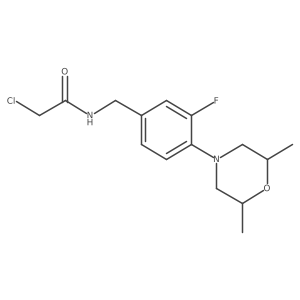 2-chloro-N-{[4-(2,6-dimethylmorpholin-4-yl)-3-fluorophenyl]methyl}acetamide结构式