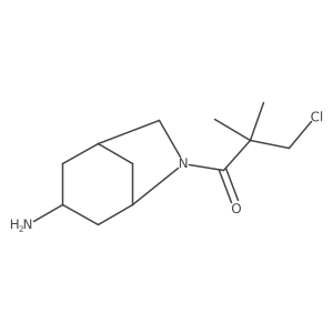 1-{3-Amino-6-azabicyclo[3.2.1]octan-6-yl}-3-chloro-2,2-dimethylpropan-1-one Structure