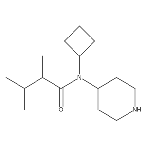N-cyclobutyl-2,3-dimethyl-N-(piperidin-4-yl)butanamide Structure