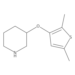 3-[(2,5-Dimethylthiophen-3-yl)oxy]piperidine Structure