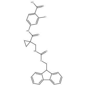 2172064-93-4 structure