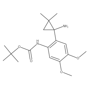 tert-butyl N-[2-(1-amino-2,2-dimethylcyclopropyl)-4,5-dimethoxyphenyl]carbamate结构式