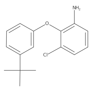 2-[3-(Tert-butyl)phenoxy]-3-chlorophenylamine Structure