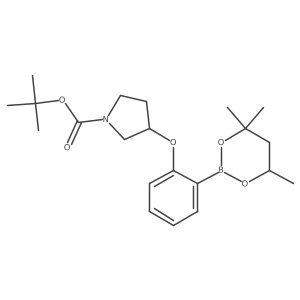 tert-Butyl 3-(2-(4,4,6-trimethyl-1,3,2-dioxaborinan-2-yl)phenoxy)pyrrolidine-1-carboxylate Structure