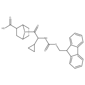 rac-(1R,2R,4S)-7-[2-cyclopropyl-2-({[(9H-fluoren-9-yl)methoxy]carbonyl}amino)acetyl]-7-azabicyclo[2.2.1]heptane-2-carboxylic acid Structure