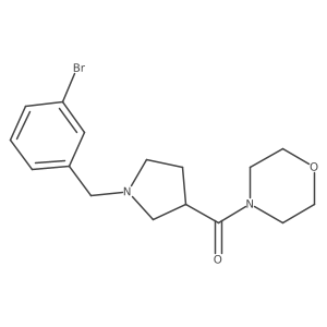 4-{1-[(3-Bromophenyl)methyl]pyrrolidine-3-carbonyl}morpholine结构式