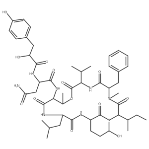 Micropeptin HM978 Structure