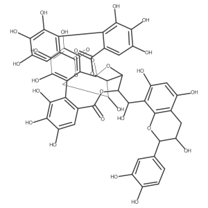 Camelliatannin E Structure