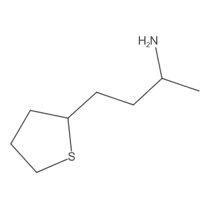 4-(Thiolan-2-yl)butan-2-amine Structure