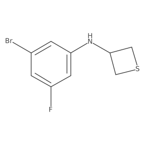N-(3-Bromo-5-fluorophenyl)thietan-3-amine结构式