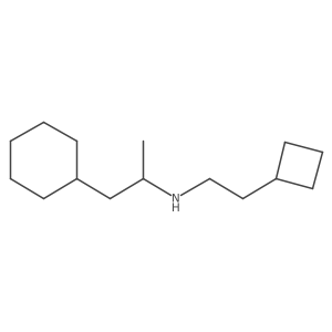 (2-Cyclobutylethyl)(1-cyclohexylpropan-2-yl)amine结构式