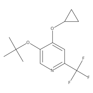 1243374-36-8 structure