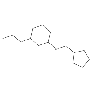 Cyclohexanamine, 3-(cyclopentylmethoxy)-N-ethyl-结构式