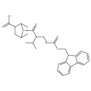 rac-(1R,2R,4S)-7-{2-[({[(9H-fluoren-9-yl)methoxy]carbonyl}amino)methyl]-3-methylbutanoyl}-7-azabicyclo[2.2.1]heptane-2-carboxylic acid Structure