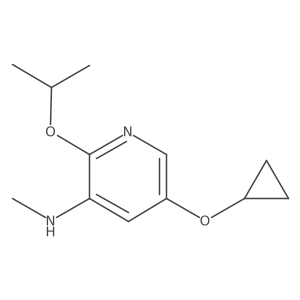 5-Cyclopropoxy-2-isopropoxy-N-methylpyridin-3-amine结构式