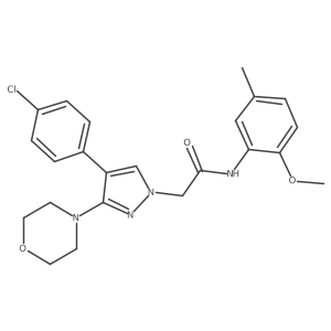 2-(4-(4-chlorophenyl)-3-morpholino-1H-pyrazol-1-yl)-N-(2-methoxy-5-methylphenyl)acetamide Structure