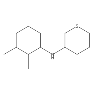 N-(2,3-dimethylcyclohexyl)thian-3-amine结构式